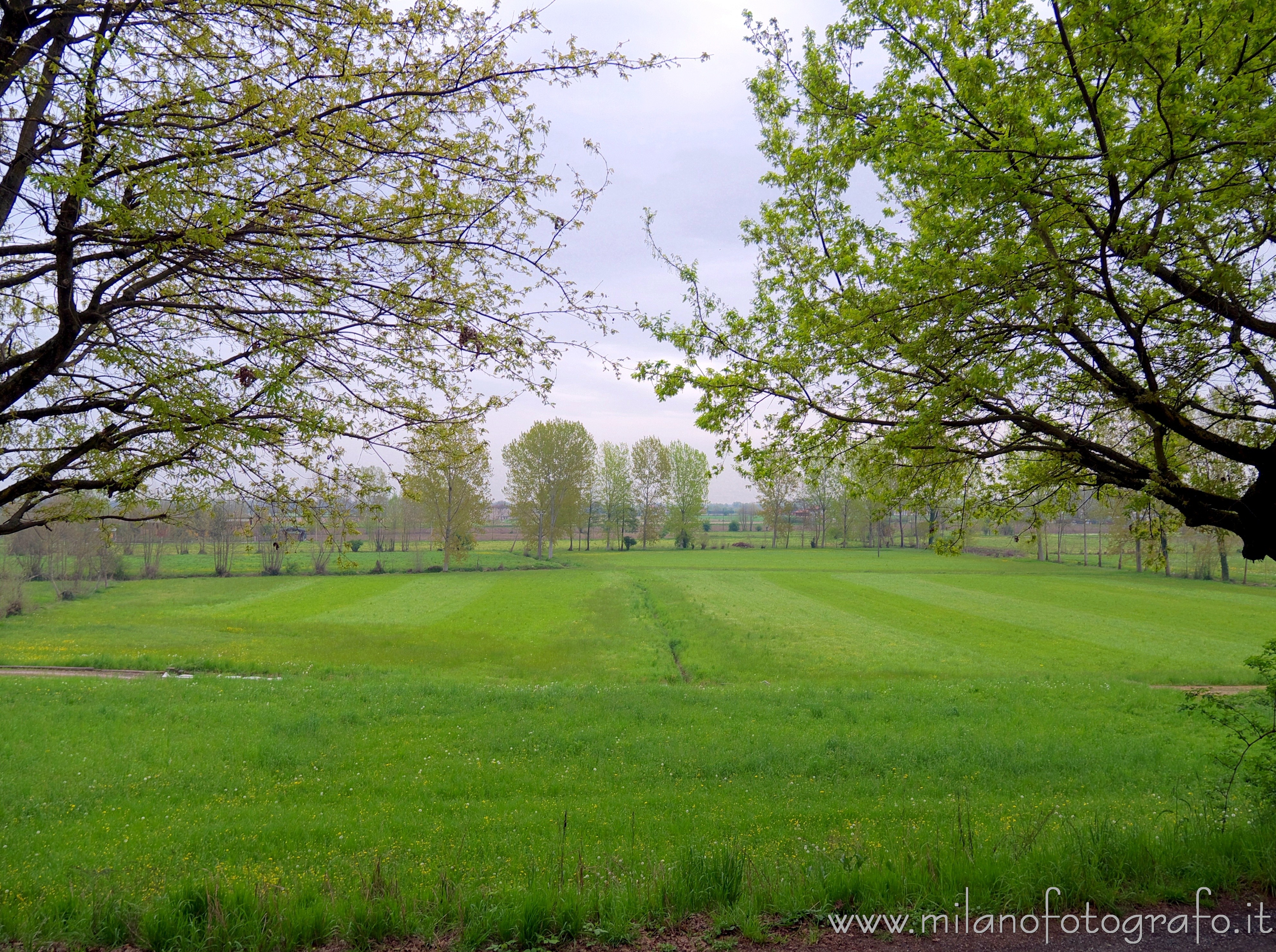 Soncino (Cremona) - Campagna primaverile 